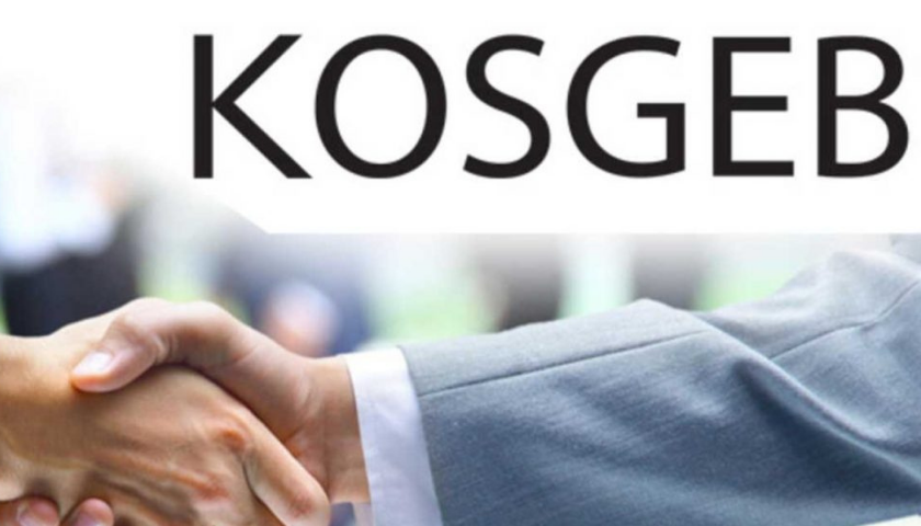 Kosgeb Desteklerinin Etkinliği ve Verimliliği